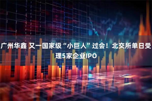廣州華鑫 又一國家級“小巨人”過會！北交所單日受理5家企業(yè)IPO