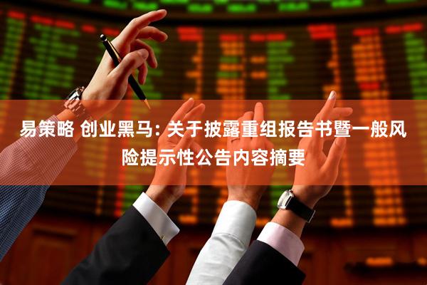 易策略 創(chuàng)業(yè)黑馬: 關于披露重組報告書暨一般風險提示性公告內(nèi)容摘要