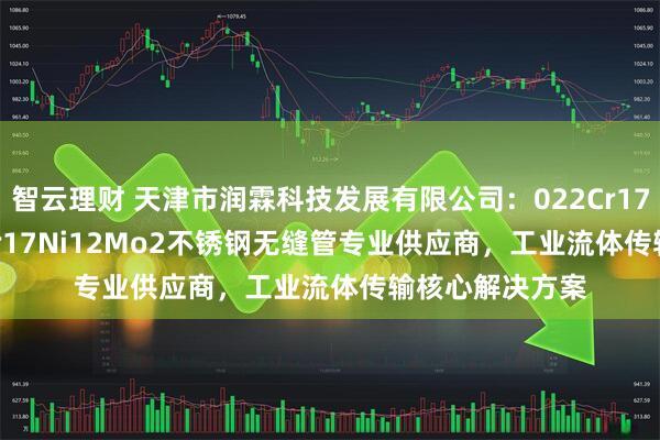 智云理財(cái) 天津市潤(rùn)霖科技發(fā)展有限公司：022Cr17Ni12Mo206Cr17Ni12Mo2不銹鋼無(wú)縫管專(zhuān)業(yè)供應(yīng)商，工業(yè)流體傳輸核心解決方案